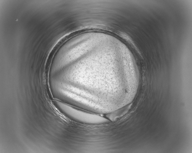 X0000078870924200612111710