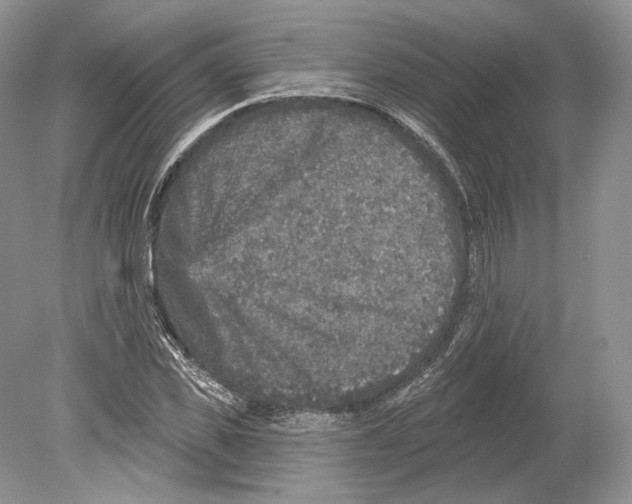 X0000078870925200612111710