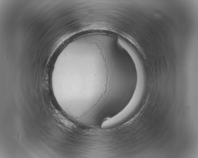 X0000078870926200612111710