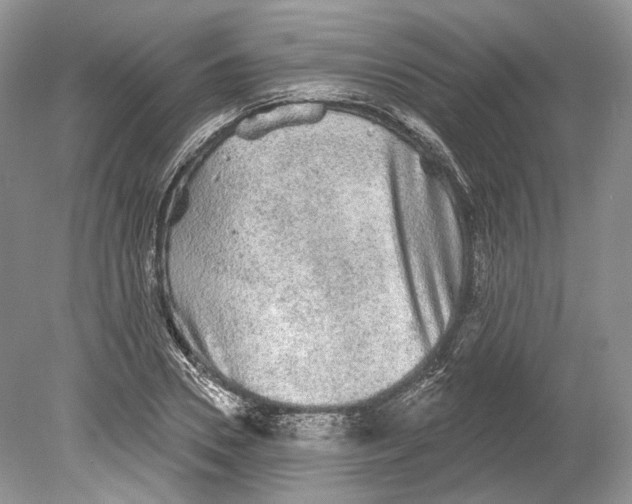 X0000078870930200612111710