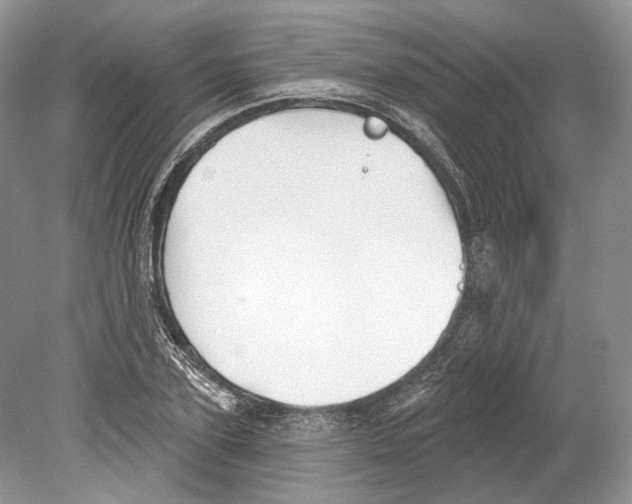 X0000078870931200612111710