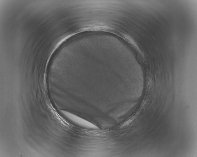 X0000078870932200612111710