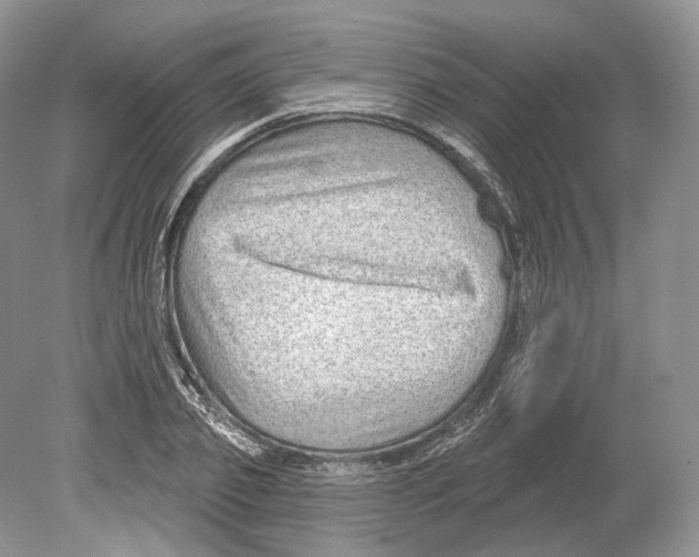 X0000078870933200612111710