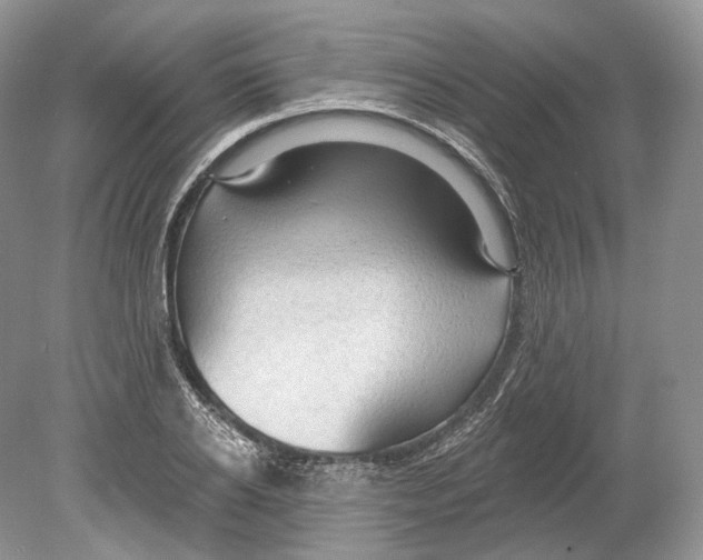 X0000078870934200612111710