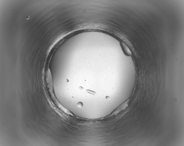 X0000078870936200612111710