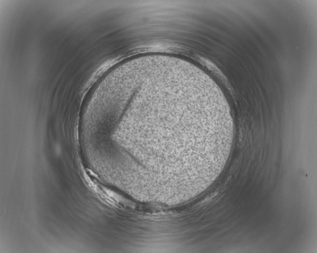 X0000078870938200612111710