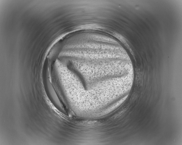 X0000078870939200612111710