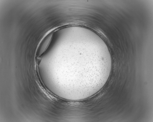 X0000078870940200612111710