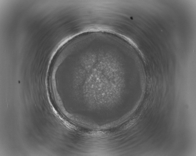 X0000078870943200612111710