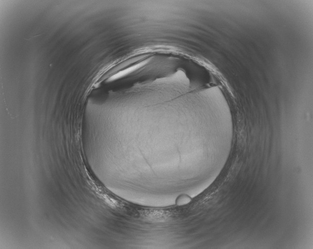 X0000078870945200612111710