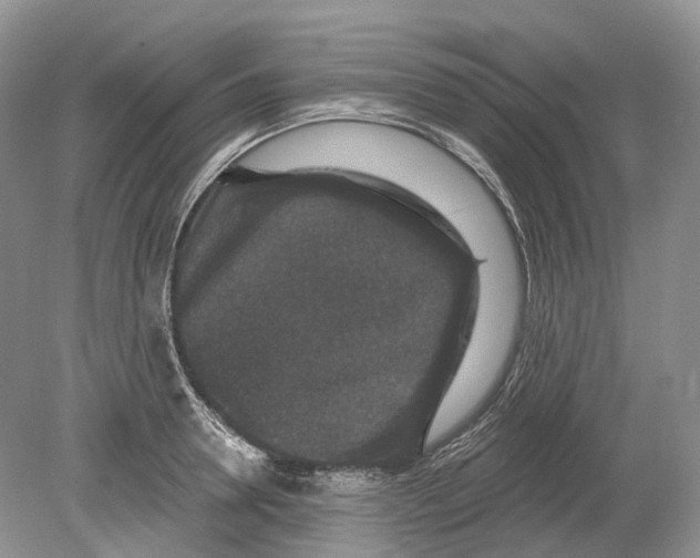 X0000078870946200612111710