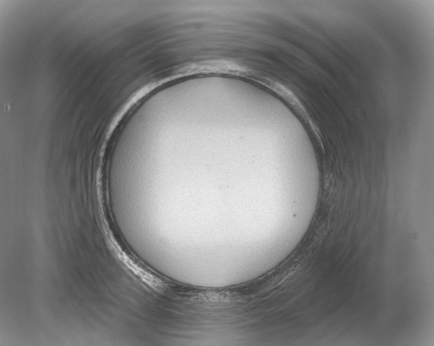 X0000078870947200612111710