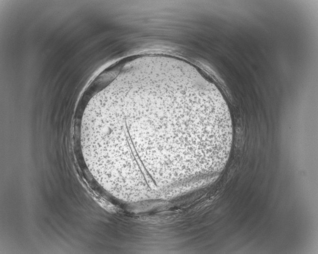 X0000078870948200612111710