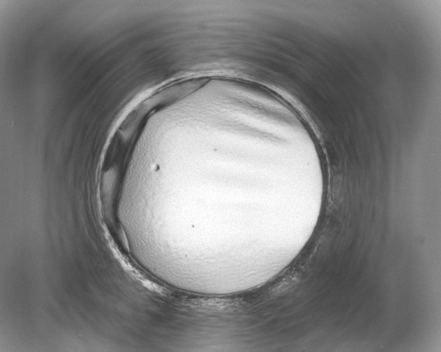 X0000078870949200612111710