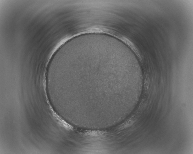 X0000078870950200612111710