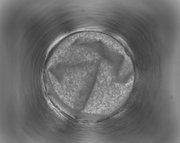 X0000078870952200612111710