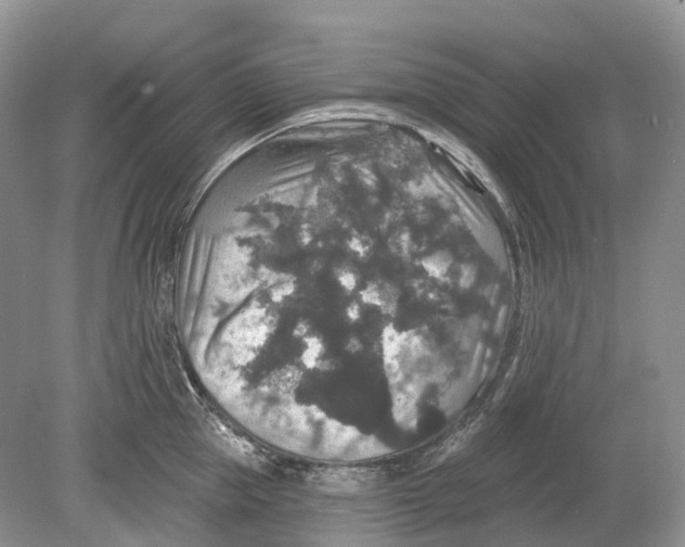 X0000078870953200612111710