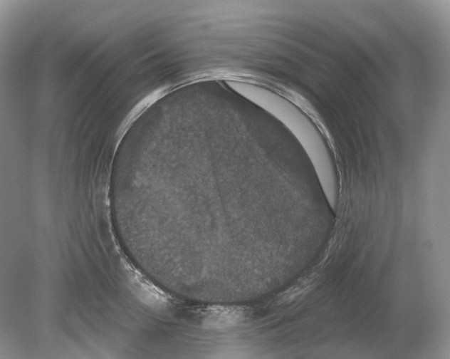 X0000078870954200612111710