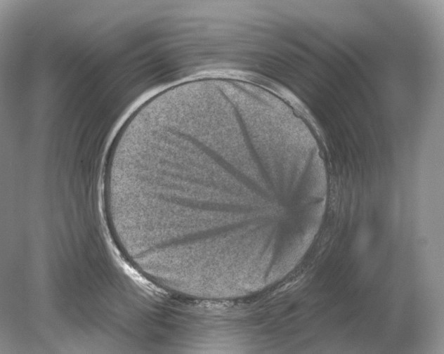 X0000078870955200612111710