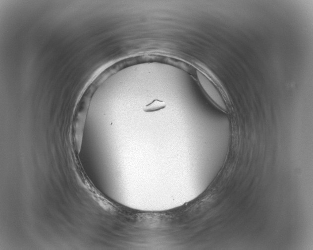 X0000078870956200612111710