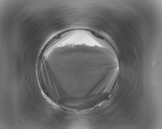 X0000078870958200612111710