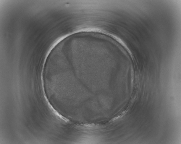 X0000078870959200612111710