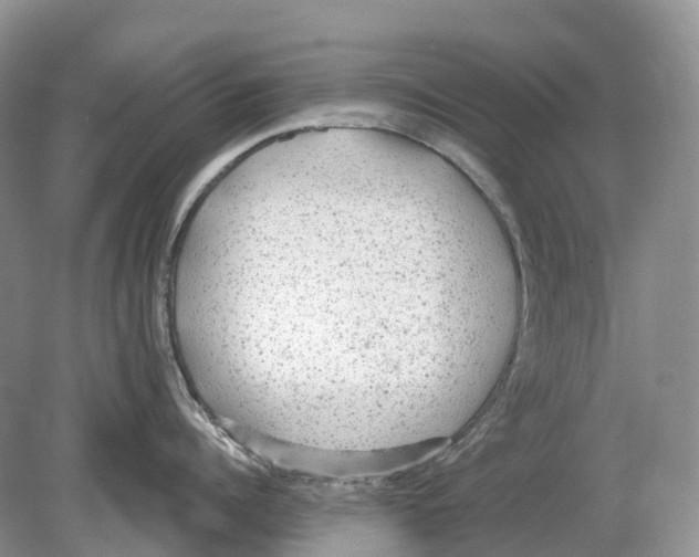 X0000078870960200612111710