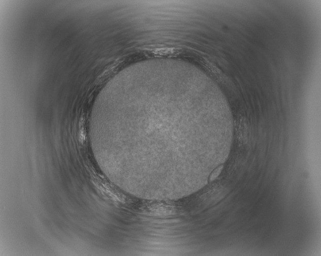 X0000078870962200612111709