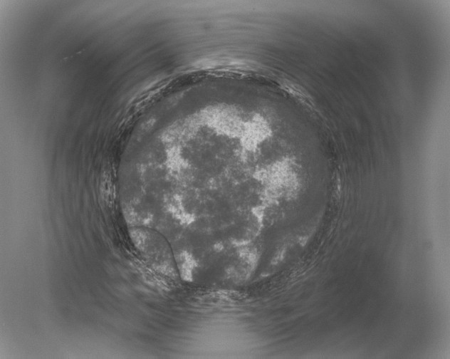 X0000078870966200612111709