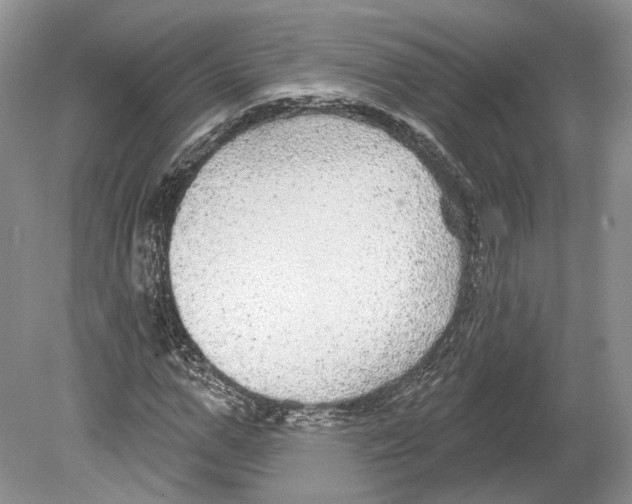 X0000078870967200612111709