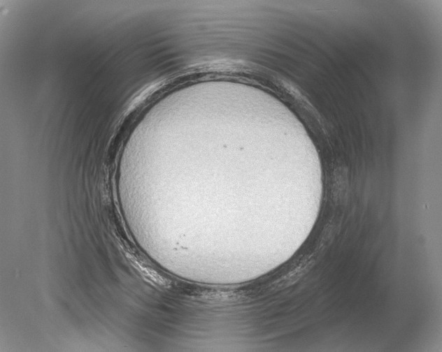 X0000078870970200612111709