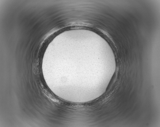 X0000078870971200612111709