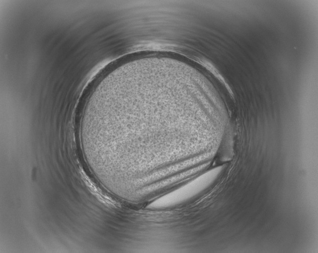 X0000078870972200612111709