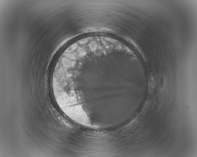 X0000078870975200612111709