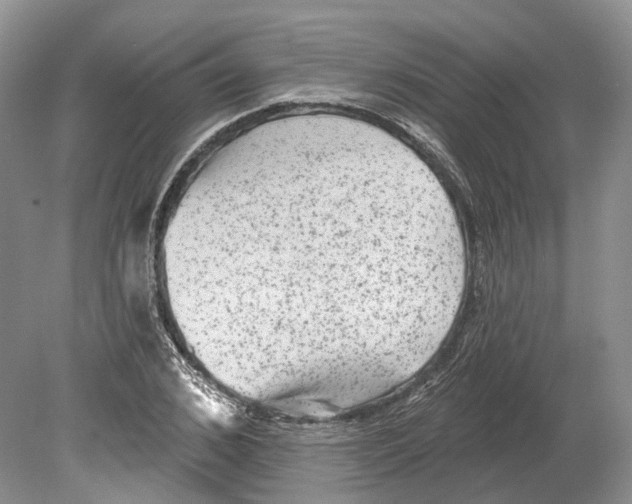 X0000078870976200612111709