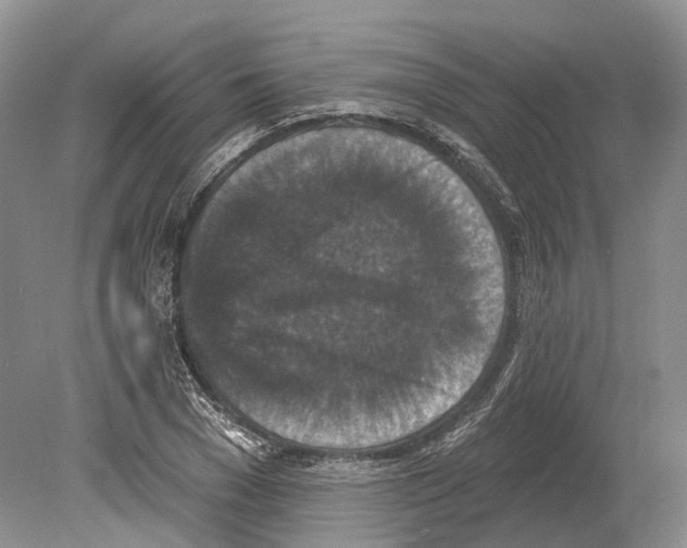 X0000078870977200612111709