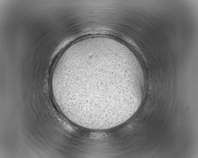 X0000078870978200612111709