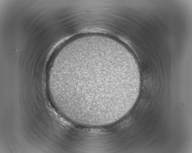 X0000078870979200612111709