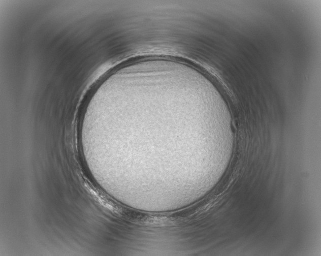 X0000078870982200612111709