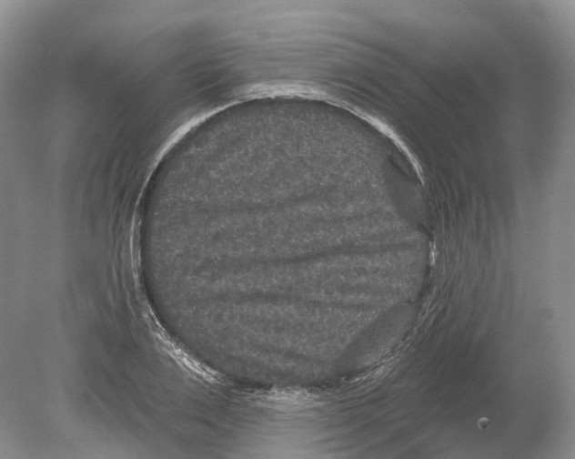 X0000078870983200612111709