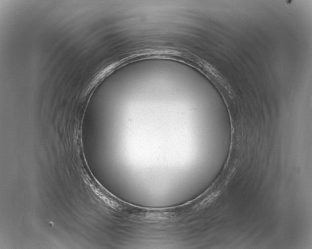 X0000078870985200612111709