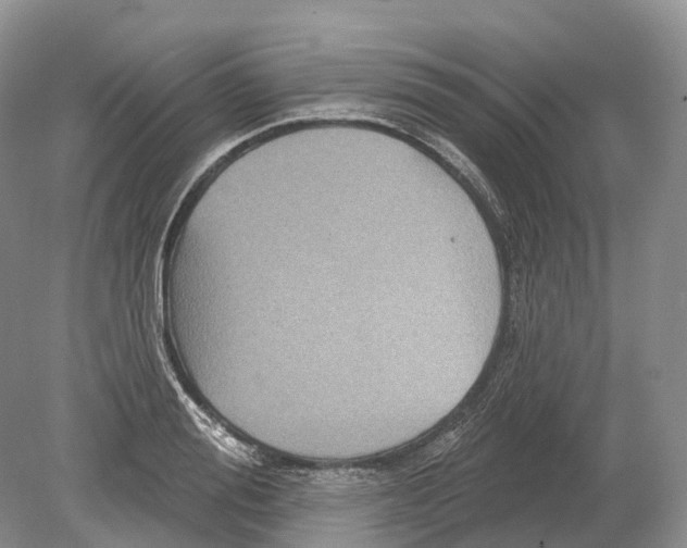 X0000078870988200612111709