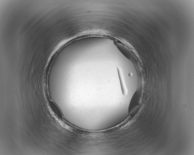 X0000078870989200612111709