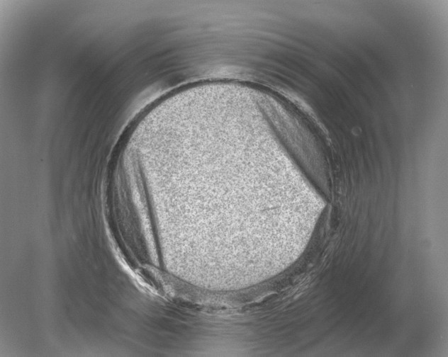 X0000078870991200612111709