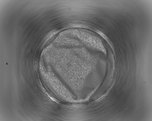 X0000078870993200612111709