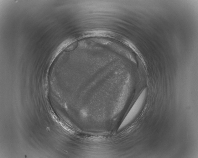 X0000078870994200612111709