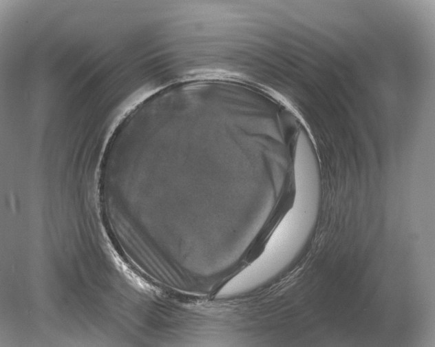 X0000078870995200612111709