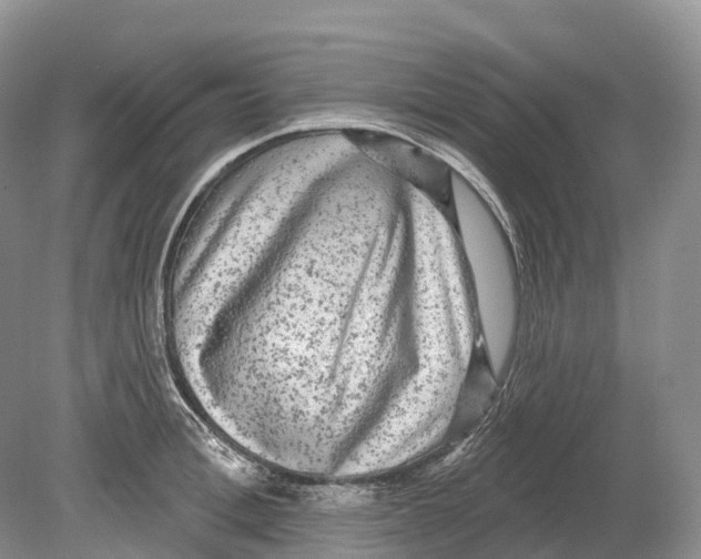 X0000078870996200612111709