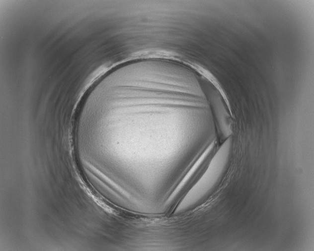 X0000078870997200612111709