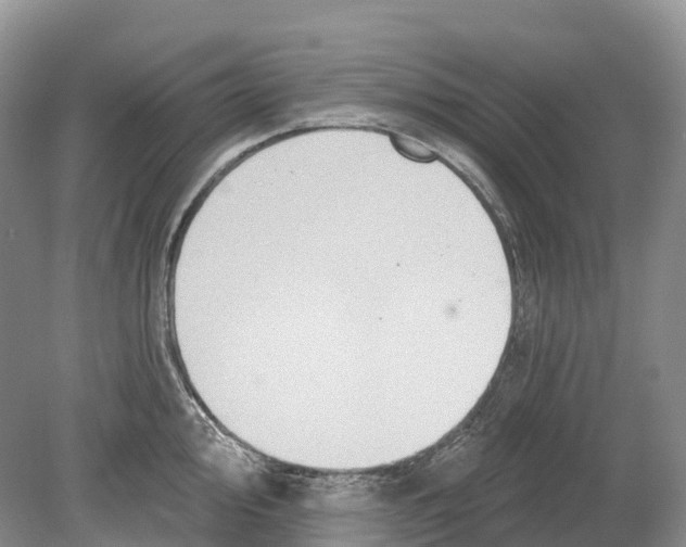 X0000078871000200612111709